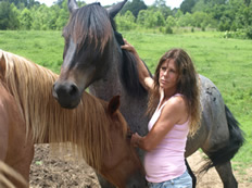 Kylah and her mustangs